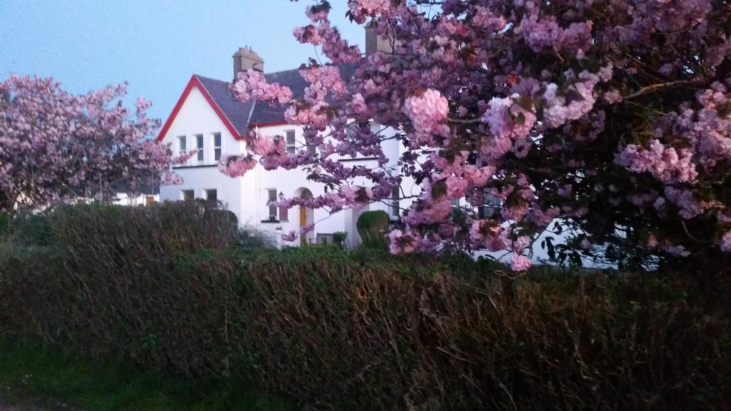 Hotel The Old Cable Historic House & Seafood Restaurant Waterville Esterno foto